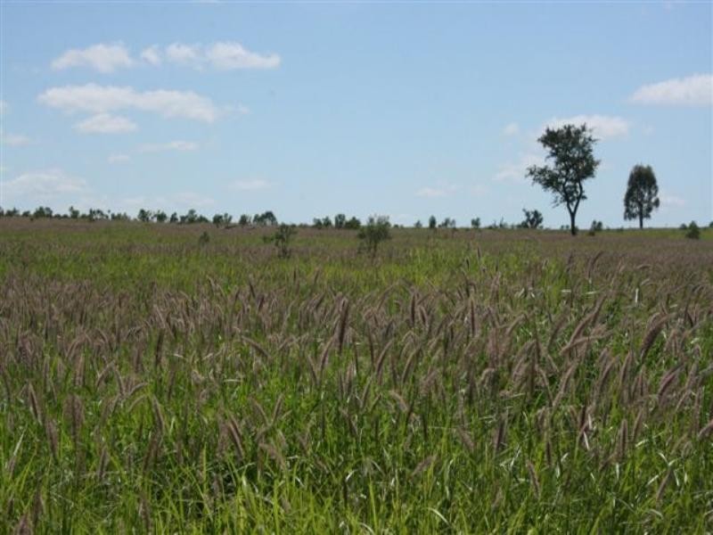 0 Willows Rutland Road, Emerald QLD 4720