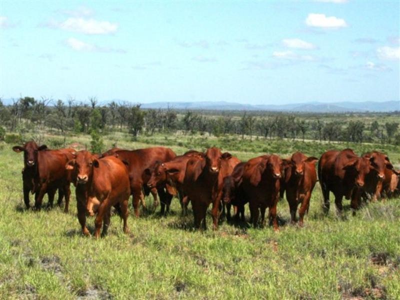 0 Willows Rutland Road, Emerald QLD 4720