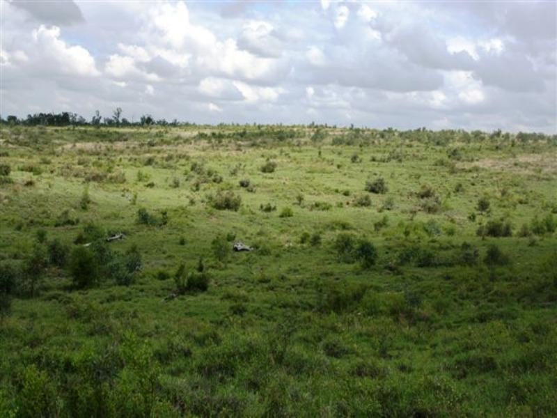 0 Willows Rutland Road, Emerald QLD 4720