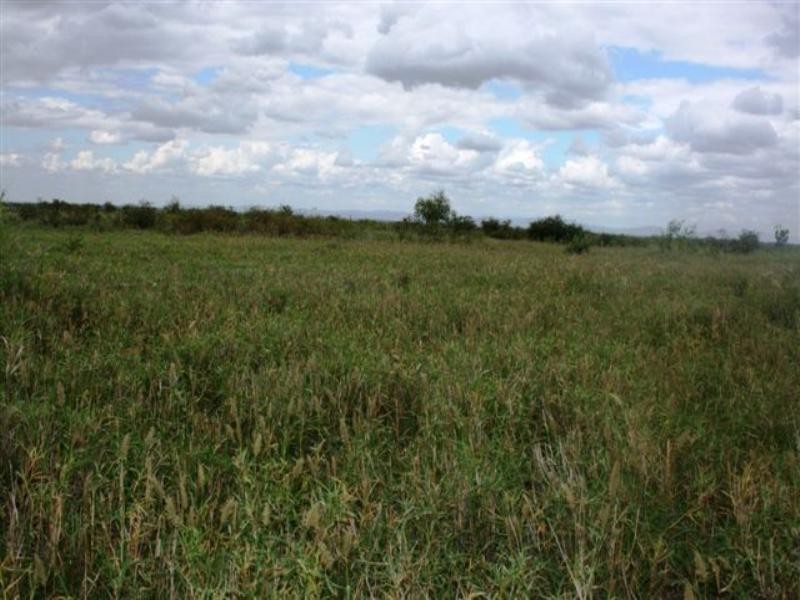 0 Willows Rutland Road, Emerald QLD 4720