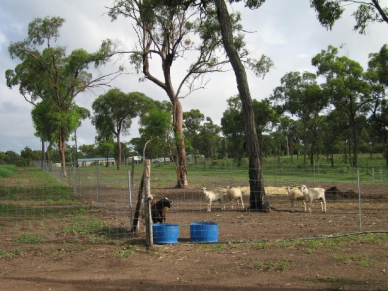 5 Greenhill Road, Sarina QLD 4737