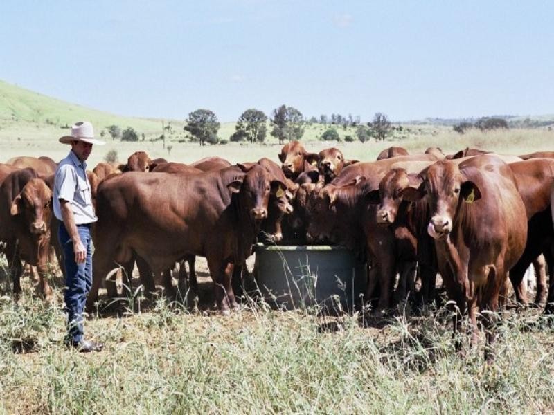 90365 Bruce Highway, Sarina QLD 4737