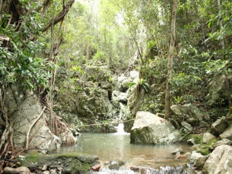673 Middle Creek Road, Mackay QLD 4740