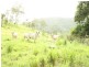 673 Middle Creek Road, Mackay QLD 4740