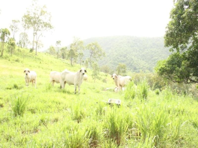 673 Middle Creek Road, Mackay QLD 4740