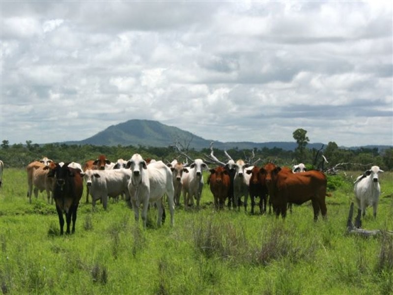 5200 Clermont – Dysart Road, Dysart QLD 4745