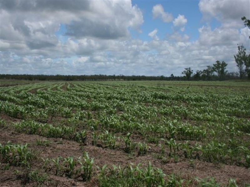 5200 Clermont – Dysart Road, Dysart QLD 4745