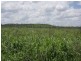 Clermont QLD 4721