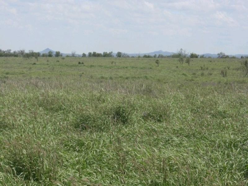 Clermont QLD 4721