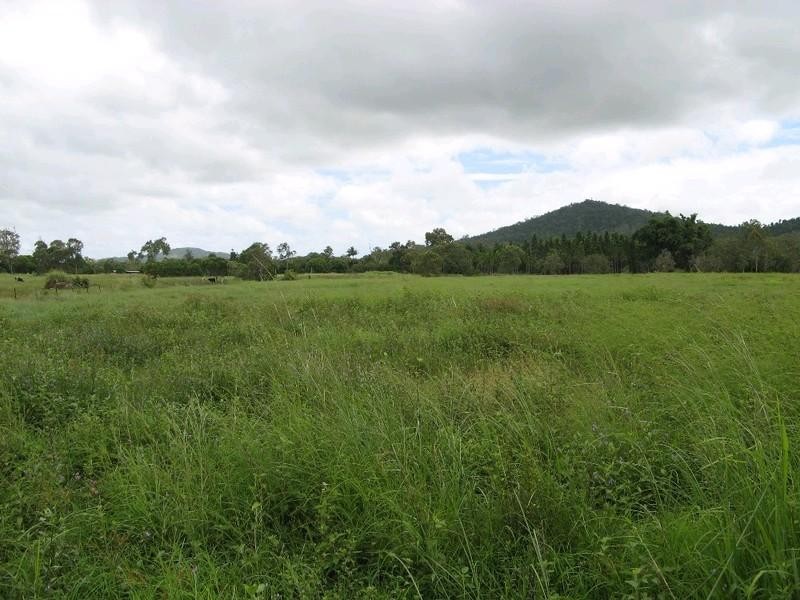 53 Hans Christian Street, Sarina QLD 4737