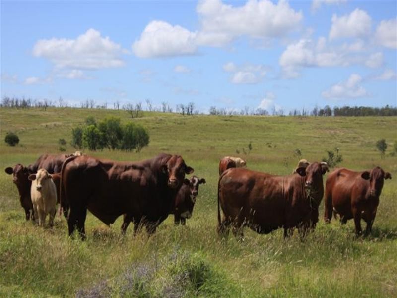 15 Duckabrook Road, Springsure QLD 4722