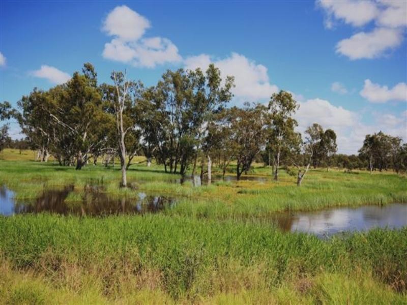 15 Duckabrook Road, Springsure QLD 4722