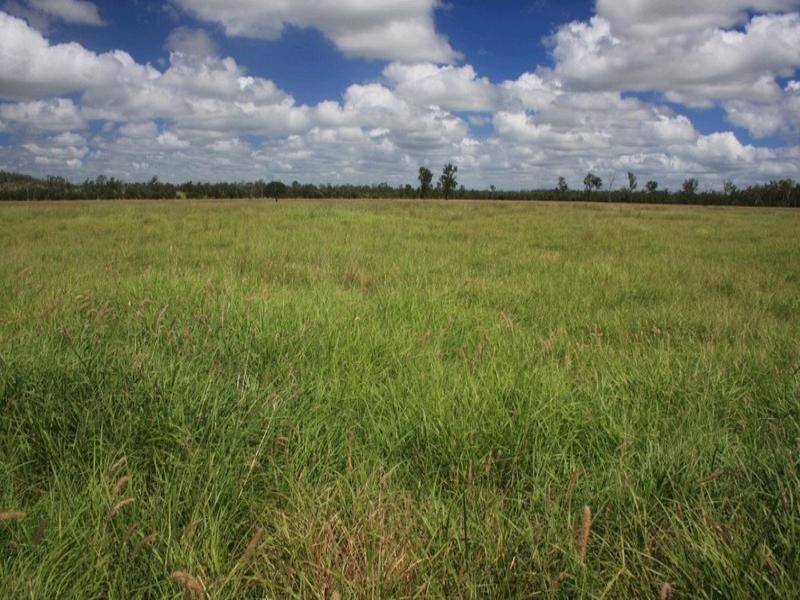 15 Duckabrook Road, Springsure QLD 4722