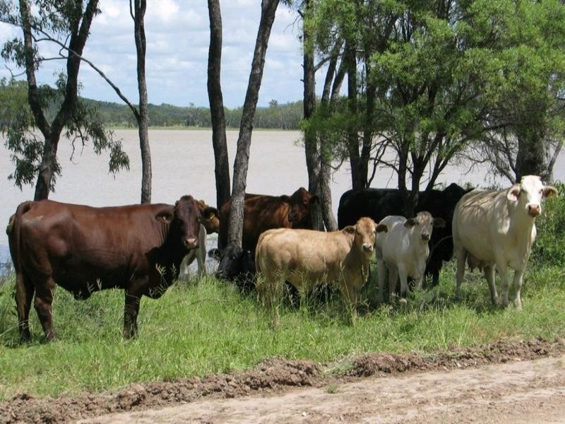 15 Duckabrook Road, Springsure QLD 4722