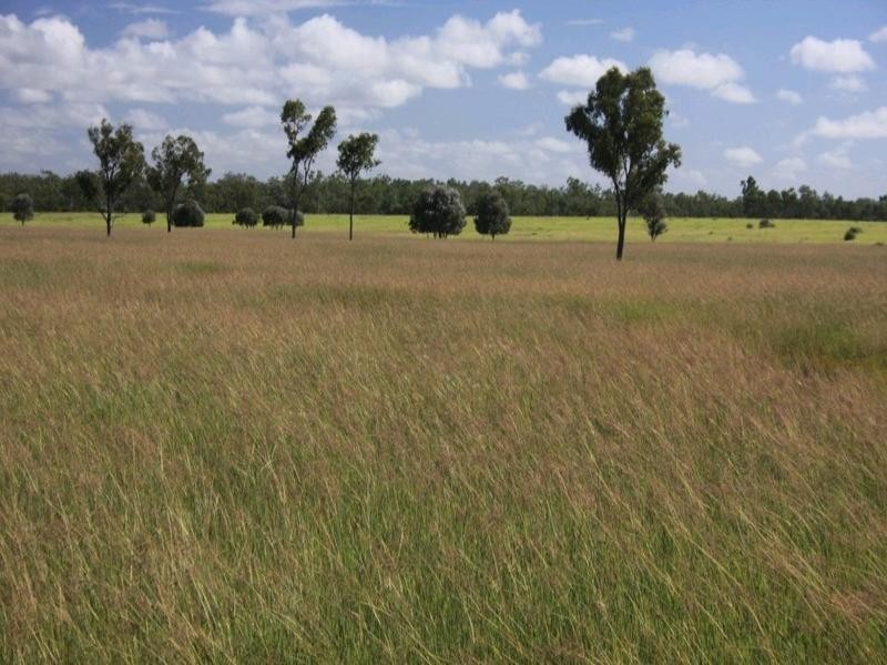 15 Duckabrook Road, Springsure QLD 4722