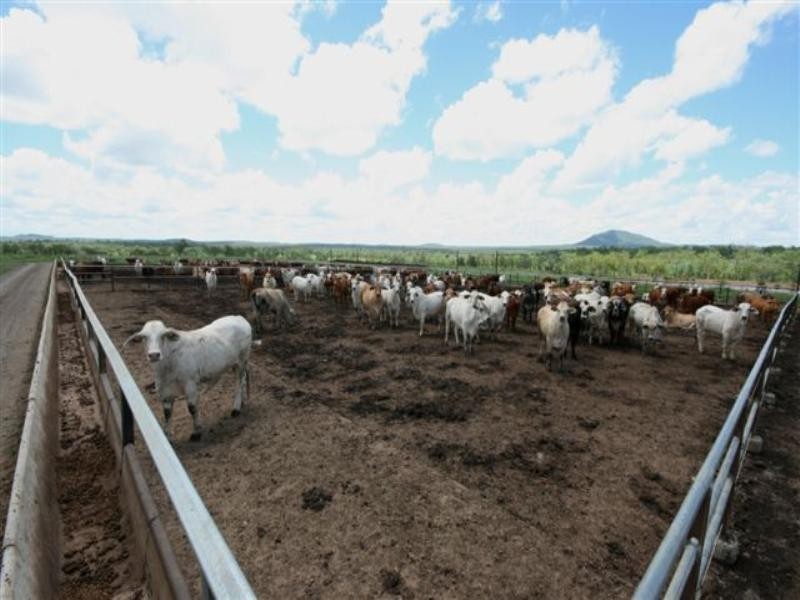 5200 Clermont – Dysart Road, Clermont QLD 4721