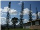 289 West Plane Creek Road, Sarina QLD 4737