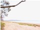 Sarina QLD 4737