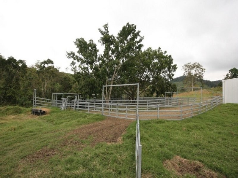 235 Mohrs Road, Sarina QLD 4737