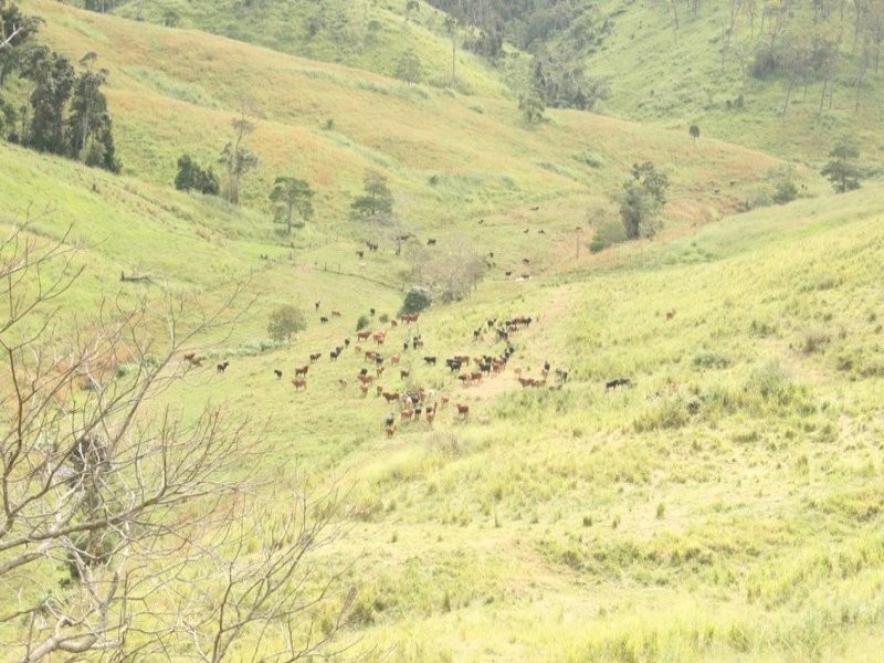 235 Mohrs Road, Sarina Range QLD 4737