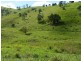 235 Mohrs Road, Sarina QLD 4737