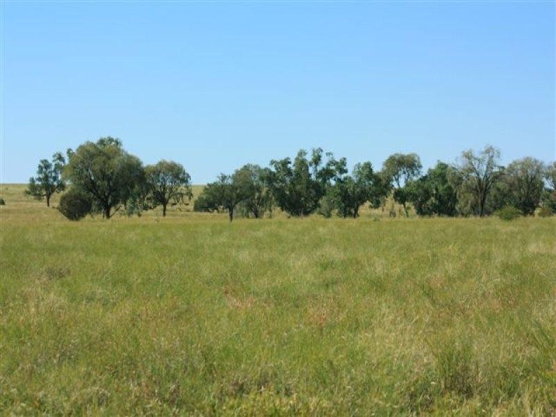 22 Langlo Road, Tambo QLD 4478