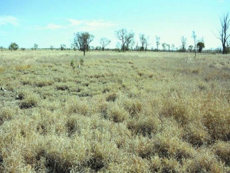 90 Montrose Road, Capella QLD 4723