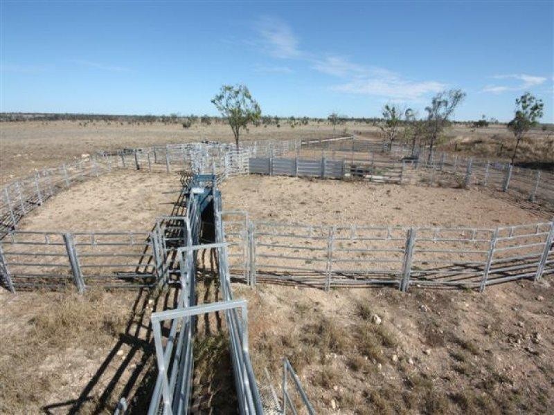 90 Montrose Road, Capella QLD 4723