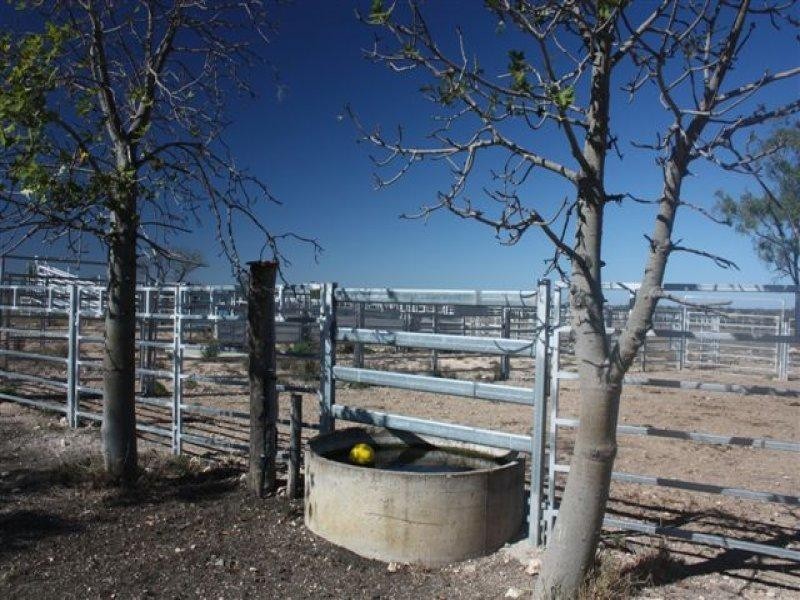 90 Montrose Road, Capella QLD 4723