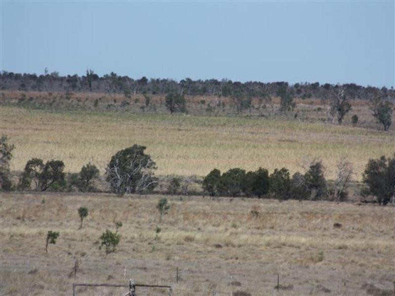 90 Montrose Road, Capella QLD 4723