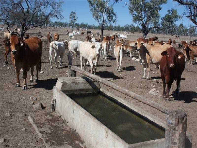 90 Montrose Road, Capella QLD 4723