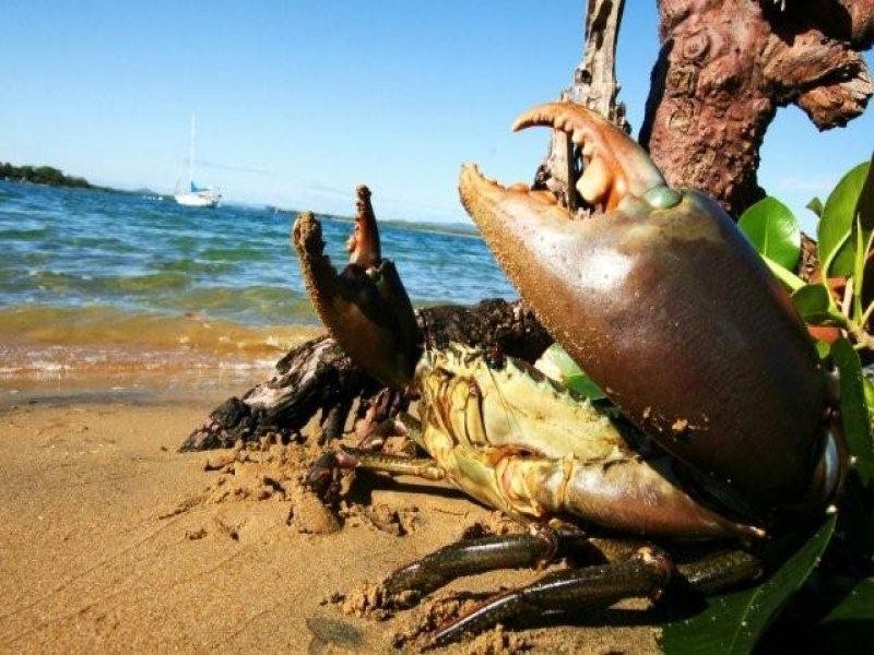 44 Jackson Street, Sarina QLD 4737