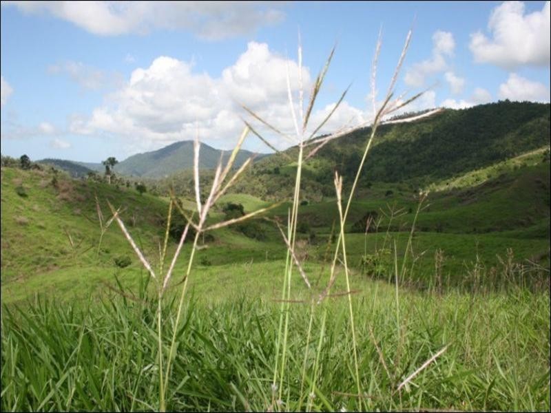 467 Middle Creek Road, Sarina QLD 4737