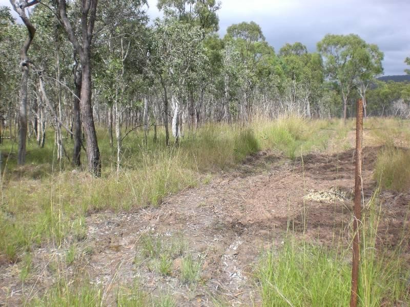 L1 Bruce Highway, Clairview QLD 4741