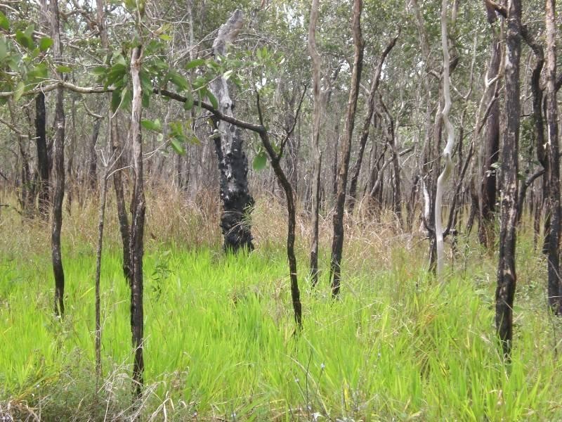 L1 Bruce Highway, Clairview QLD 4741