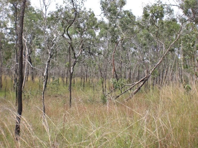 L1 Bruce Highway, Clairview QLD 4741