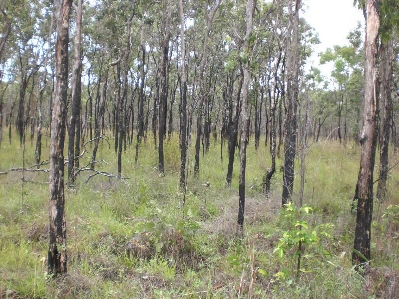 L1 Bruce Highway, Clairview QLD 4741