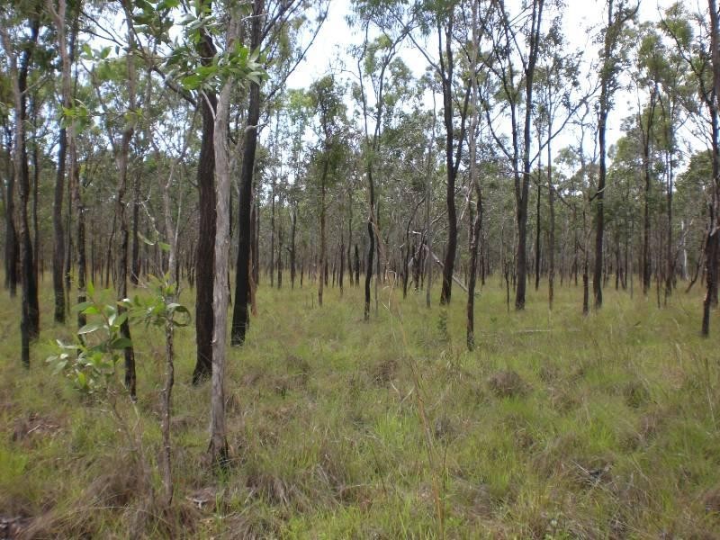 L1 Bruce Highway, Clairview QLD 4741