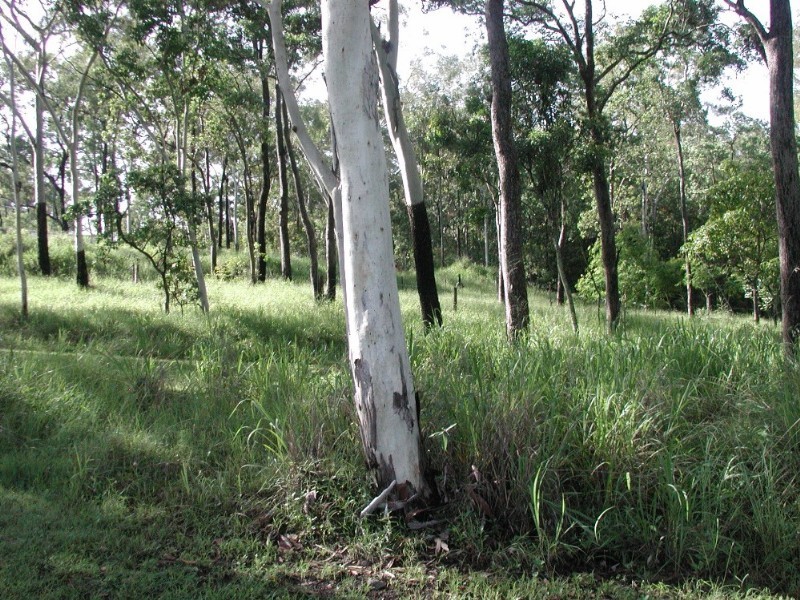 1 Lamberts Road, Sarina QLD 4737