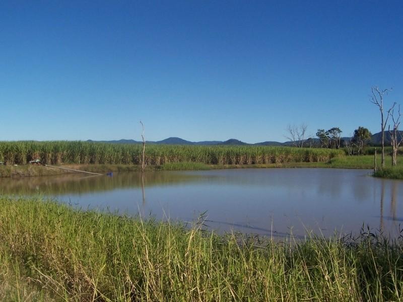 483 Dawlish Road, Sarina QLD 4737