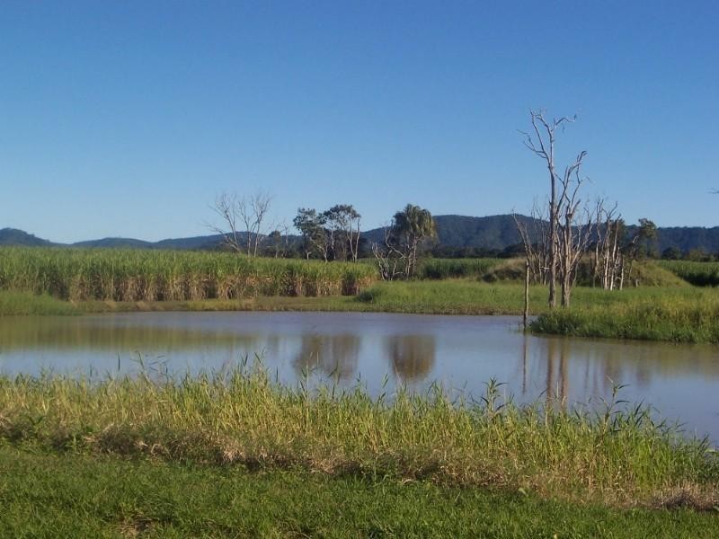 483 Dawlish Road, Sarina QLD 4737