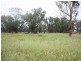 5 Kingswell Road, Springsure QLD 4722