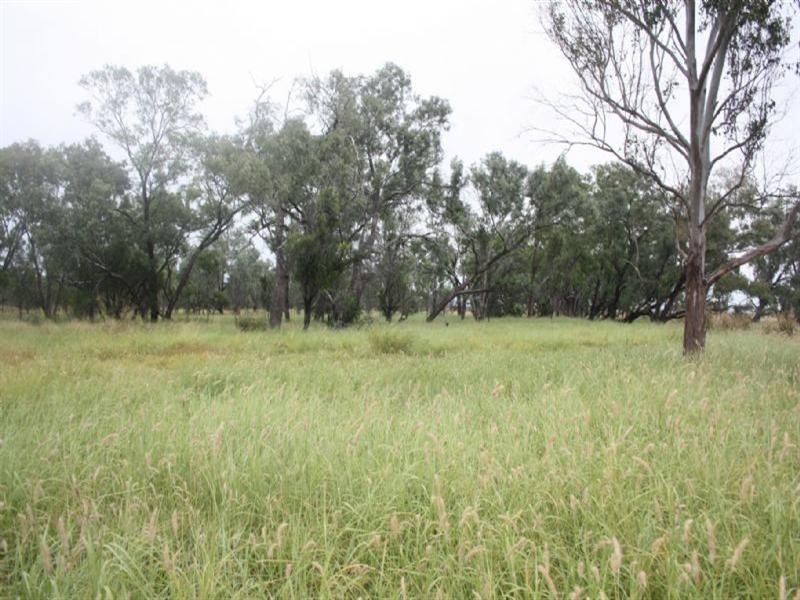 5 Kingswell Road, Springsure QLD 4722
