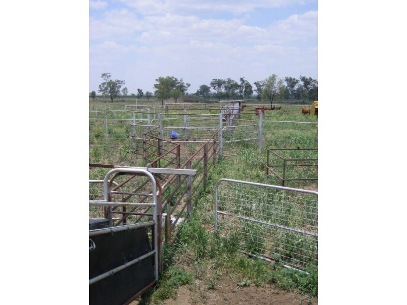 5 Kingswell Road, Springsure QLD 4722