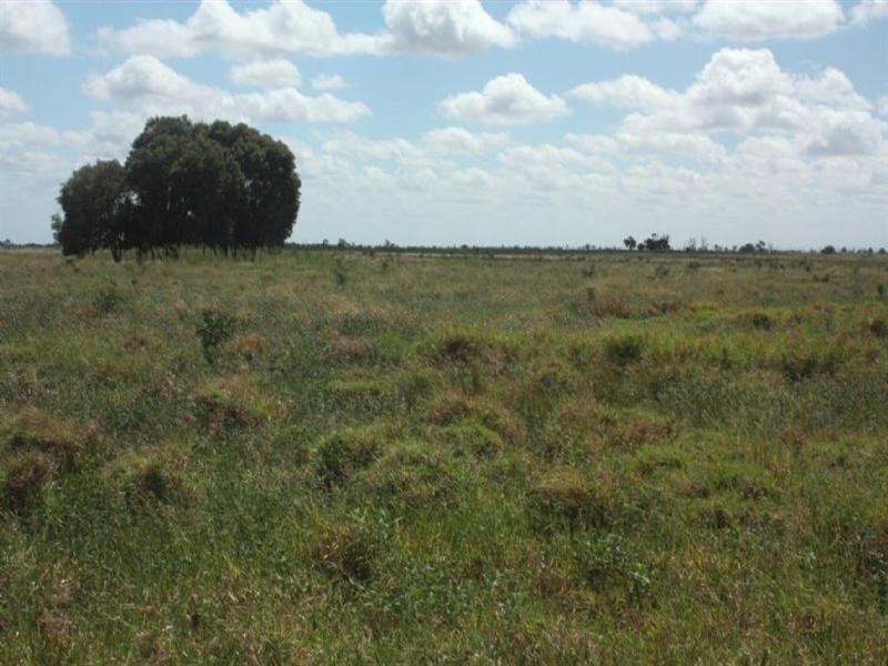 20 Gap Road, Springsure QLD 4722