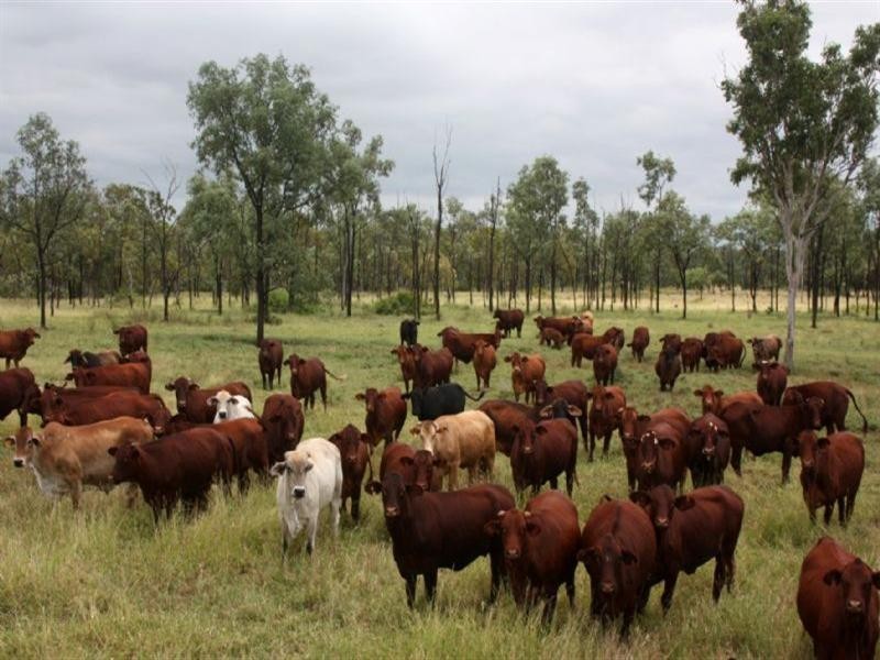 20 Gap Road, Springsure QLD 4722