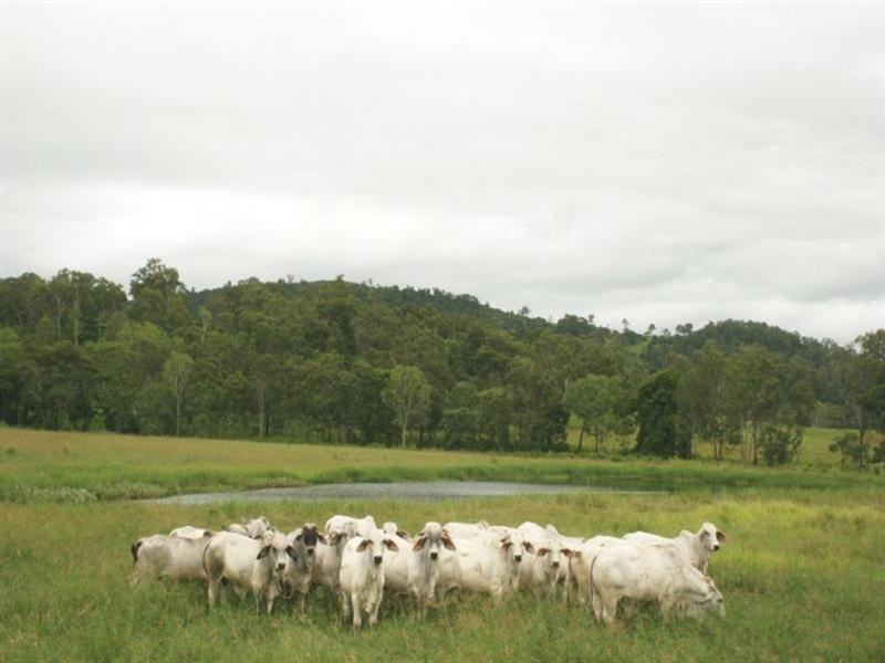 1022/24 Sarina Marlborough Road, Sarina QLD 4737