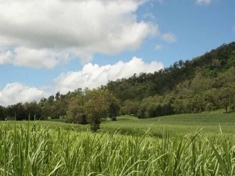 100 Whitaker Road, Sarina QLD 4737