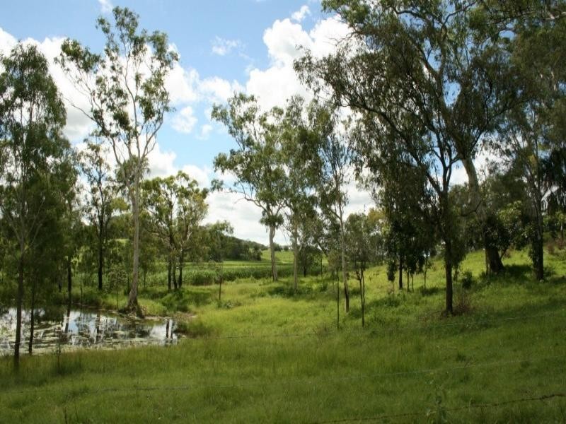 100 Whitaker Road, Sarina QLD 4737