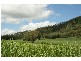100 Whitaker Road, Sarina QLD 4737